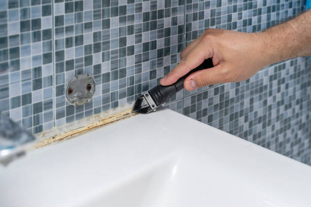 Best Professional Mold Removal  in San Felipe Pueblo, NM